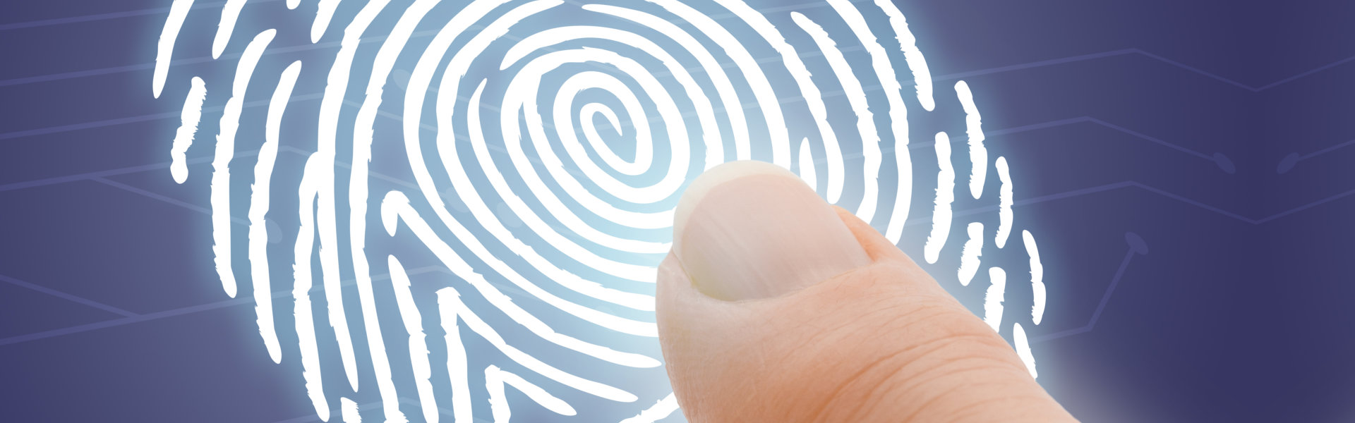 Online security fingerprint